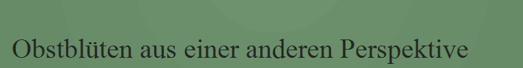 Obstbl�ten aus einer anderen Perspektive