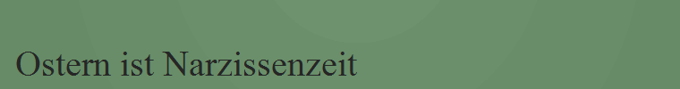 Ostern ist Narzissenzeit